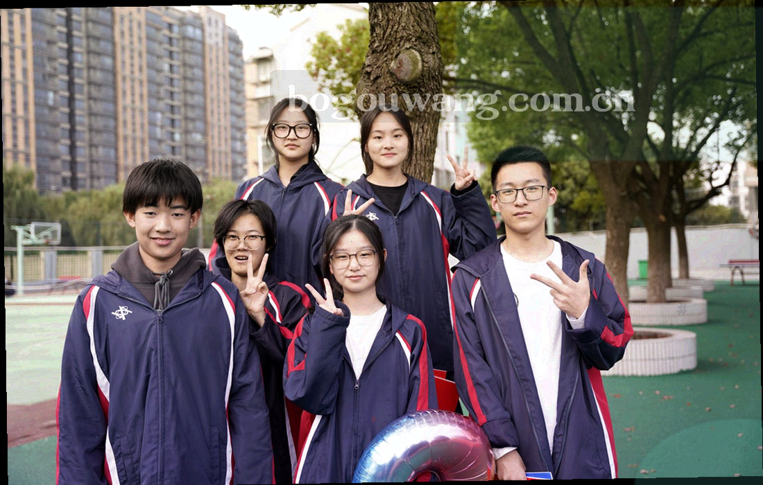 旧版收藏导出流程的两步界面示意，步骤带等宽字体编号